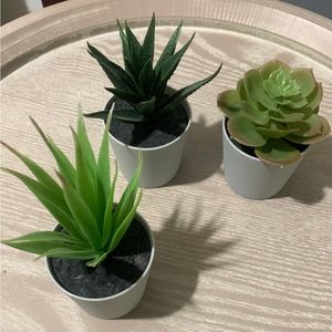 Aesthetic fake plant trio set/Wall decor